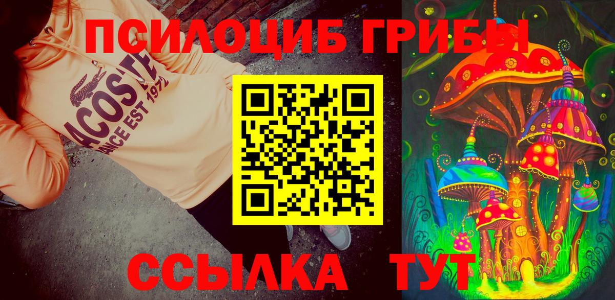 Псилоцибиновые грибы Psilocybine cubensis Усолье-Сибирское
