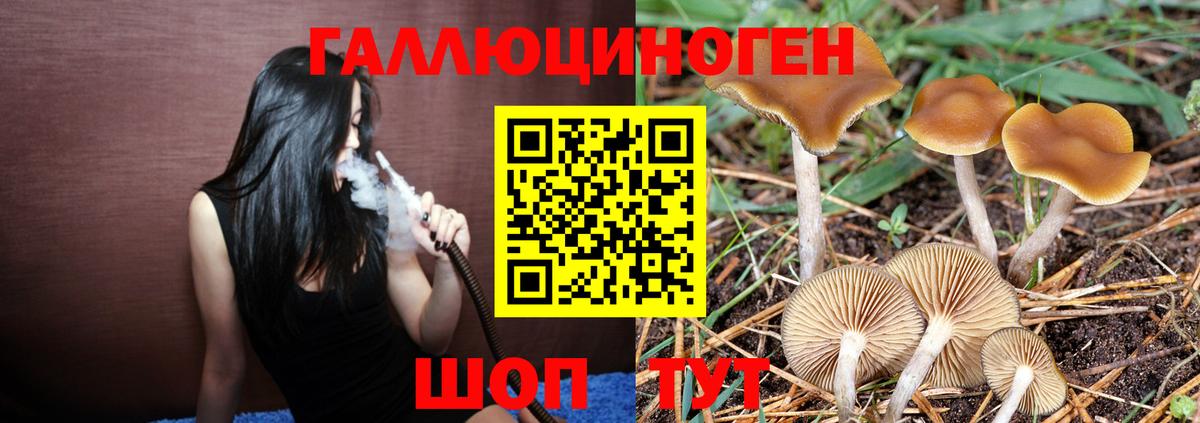 Усолье-Сибирское  Галлюциногенные грибы Psilocybe  Вход с VPN  Псилоцибиновые грибы Psilocybe 